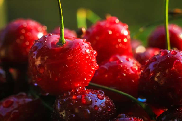 Natural Treatments for Gout