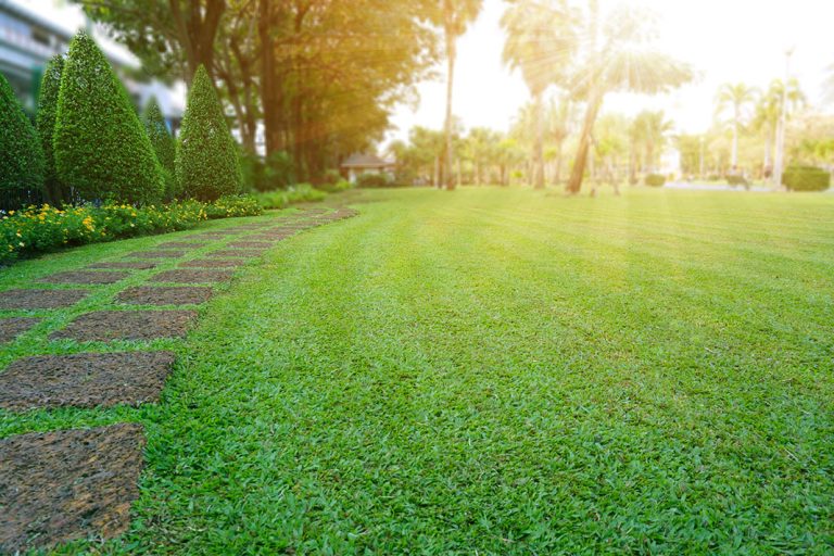 Clever Yard Work Hacks to Make Life Easier